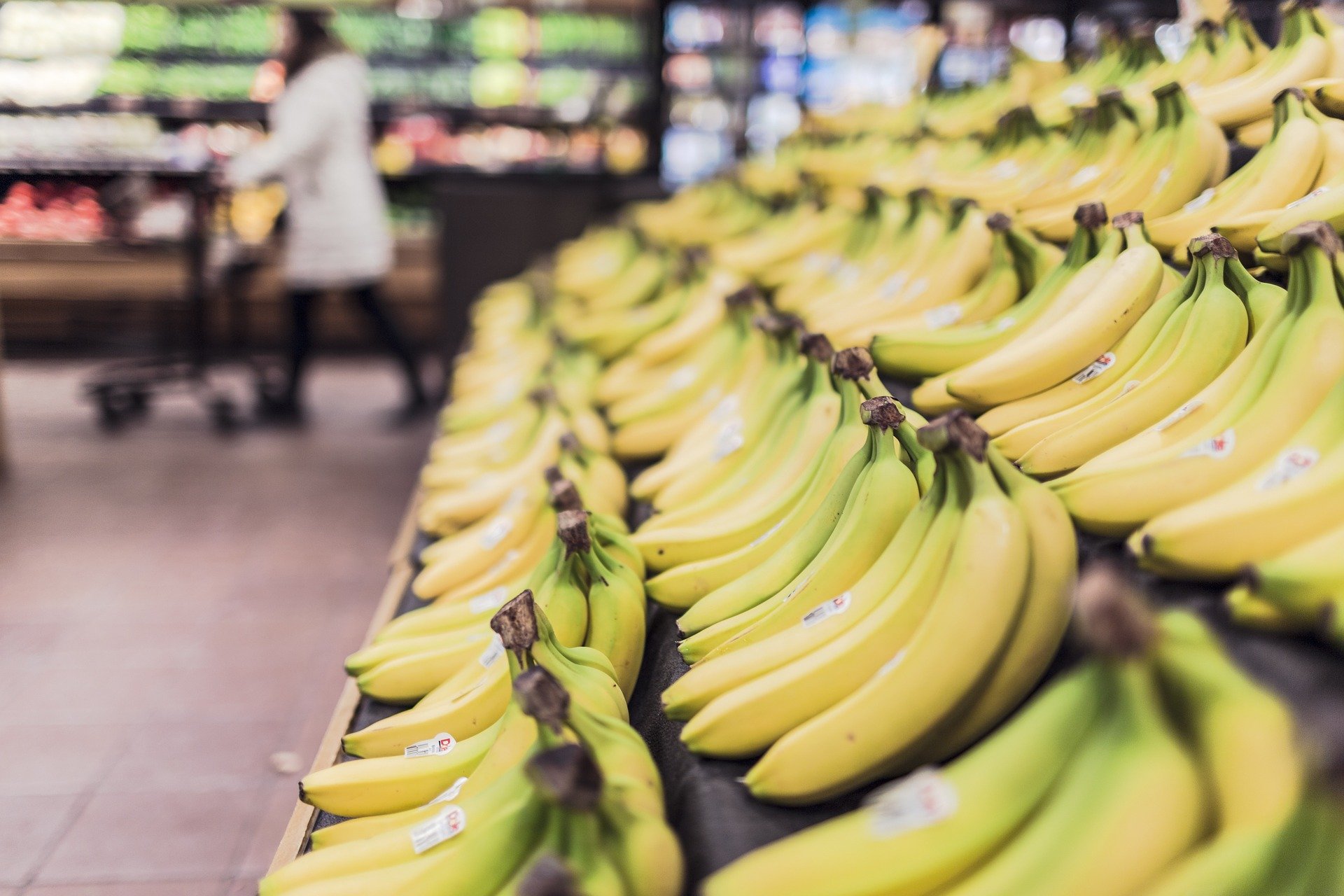 Imagem de Macacos não mordam! Produção americana de banana está ameaçada por fungo no megacurioso