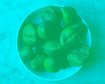 thumb-image-2024-02-29T14:04:10.735Z
