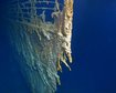 thumb-image-2024-02-29T14:04:11.010Z