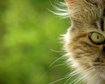 thumb-image-2024-02-29T14:04:11.661Z