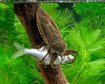thumb-image-2024-02-29T14:04:12.234Z