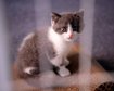 thumb-image-2024-02-29T14:04:12.428Z