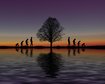 thumb-image-2024-02-29T14:04:12.354Z