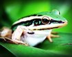 thumb-image-2024-02-29T14:04:12.534Z