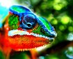 thumb-image-2024-02-29T14:04:13.445Z