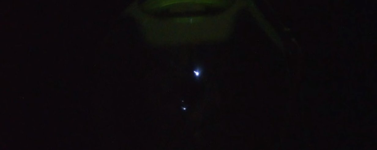 thumb-image-2024-02-29T14:04:13.655Z