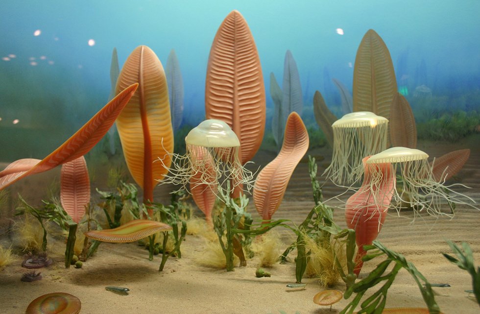 Imagem de Animais primitivos podem ter controlado sua própria evolução no megacurioso