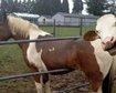 thumb-image-2024-02-29T14:04:14.149Z