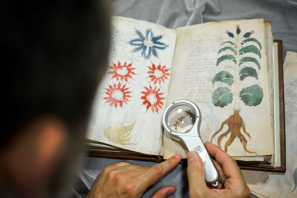 Imagem de Manuscrito Voynich: nem inteligência artificial consegue decifrá-lo no megacurioso