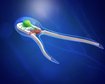 thumb-image-2024-02-29T14:04:14.647Z