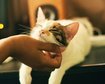 thumb-image-2024-02-29T14:04:15.212Z