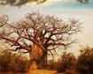 thumb-image-2024-02-29T14:04:16.067Z