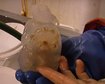 thumb-image-2024-02-29T14:04:15.809Z