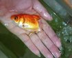 thumb-image-2024-02-29T14:04:15.997Z