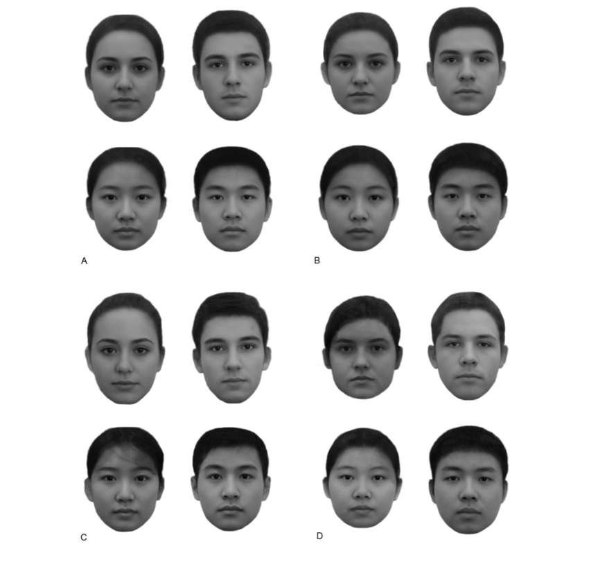 Os rostos de A e C foram considerados os "mais ricos" - Foto: University of Toronto