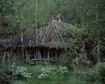 thumb-image-2024-02-29T14:04:16.265Z