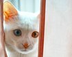thumb-image-2024-02-29T14:04:18.505Z