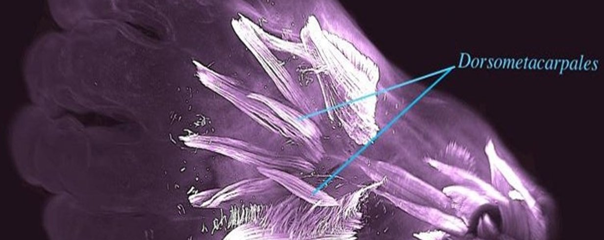 thumb-image-2024-02-29T14:04:17.090Z