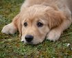 thumb-image-2024-02-29T14:04:17.341Z