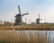 thumb-image-2024-02-29T14:04:17.511Z