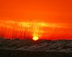 thumb-image-2024-02-29T14:04:17.670Z