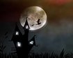 thumb-image-2024-02-29T14:04:18.883Z