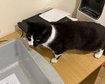 thumb-image-2024-02-29T14:04:18.920Z