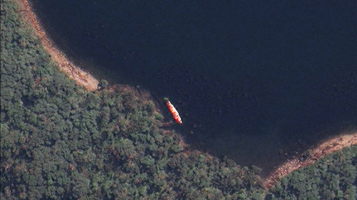Imagem de satélite de uma baleia encalhada (Fonte: Gizmodo/Reprodução)