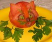 thumb-image-2024-02-29T14:04:18.530Z