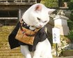 thumb-image-2024-02-29T14:04:18.703Z
