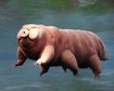 thumb-image-2024-02-29T14:04:18.540Z