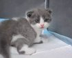 thumb-image-2024-02-29T14:04:20.255Z