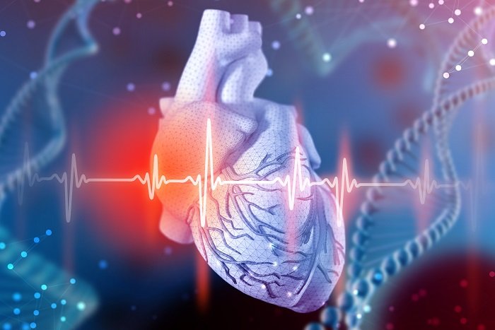 ilustração de coração humano