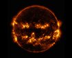 thumb-image-2024-02-29T14:04:19.754Z