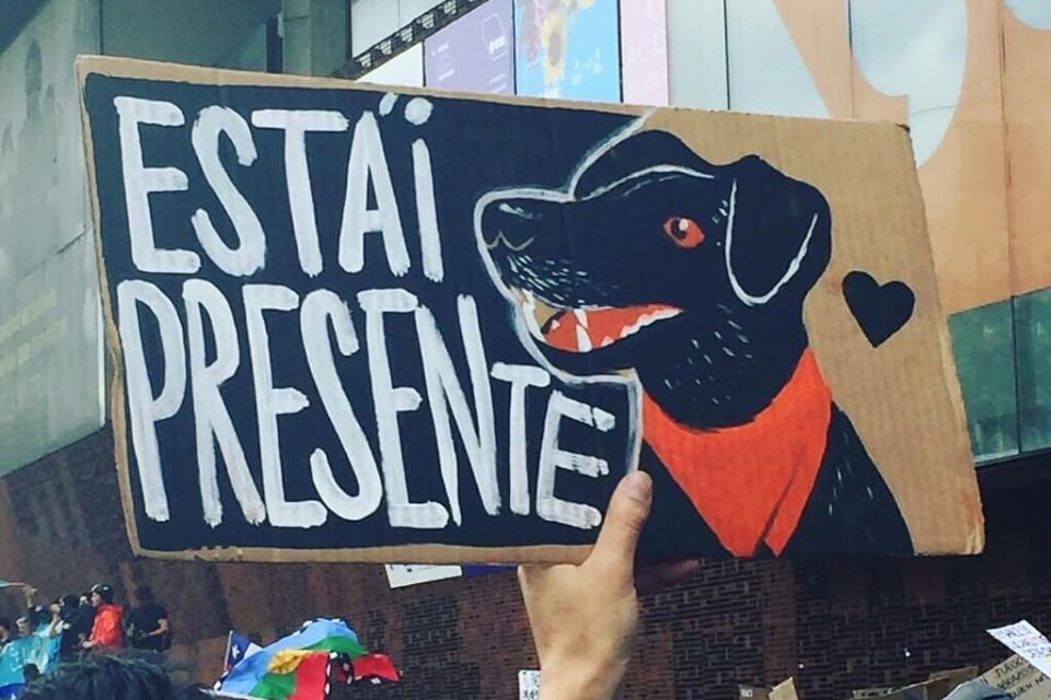 Imagem de "Negro Matapacos": o cachorro ícone dos protestos no Chile no megacurioso