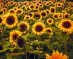 thumb-image-2024-02-29T14:04:20.934Z