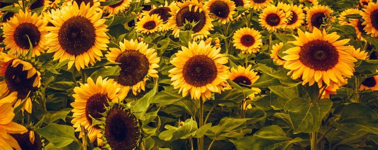 thumb-image-2024-02-29T14:04:20.934Z