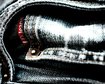 thumb-image-2024-02-29T14:04:21.528Z