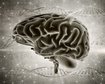 thumb-image-2024-02-29T14:04:21.293Z