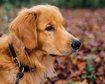 thumb-image-2024-02-29T14:04:21.624Z