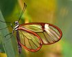 thumb-image-2024-02-29T14:04:22.134Z