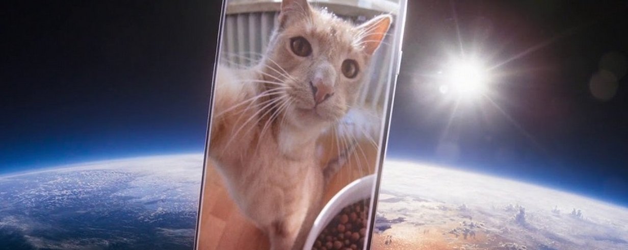 thumb-image-2024-02-29T14:04:22.382Z