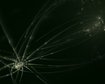 thumb-image-2024-02-29T14:04:22.752Z