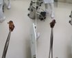 thumb-image-2024-02-29T14:04:22.805Z