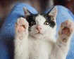 thumb-image-2024-02-29T14:04:23.363Z
