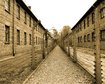 thumb-image-2024-02-29T14:04:23.586Z