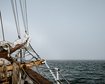 thumb-image-2024-02-29T14:04:24.374Z