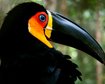 thumb-image-2024-02-29T14:04:24.147Z