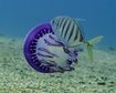 thumb-image-2024-02-29T14:04:24.738Z