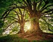 thumb-image-2024-02-29T14:04:25.195Z
